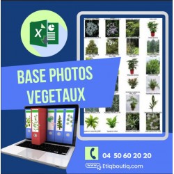 Base de photos Végétaux
